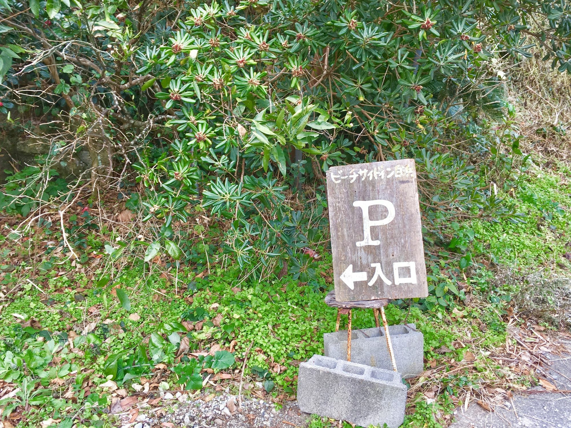 Beach Side Inn Shirahama Shimoda  Εξωτερικό φωτογραφία